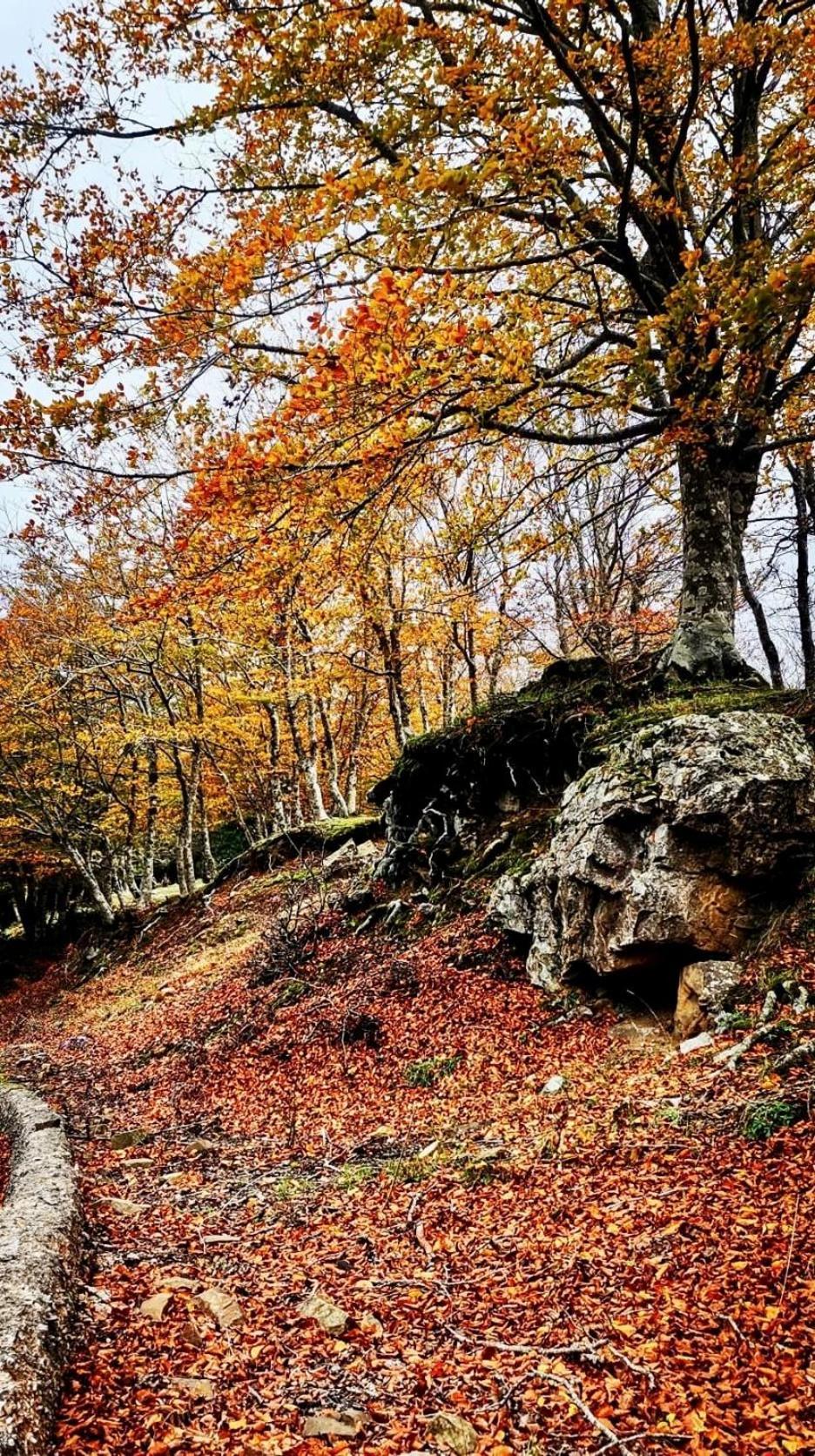 Nebris - Rifugio Del Parco Hotel San Fratello Eksteriør billede