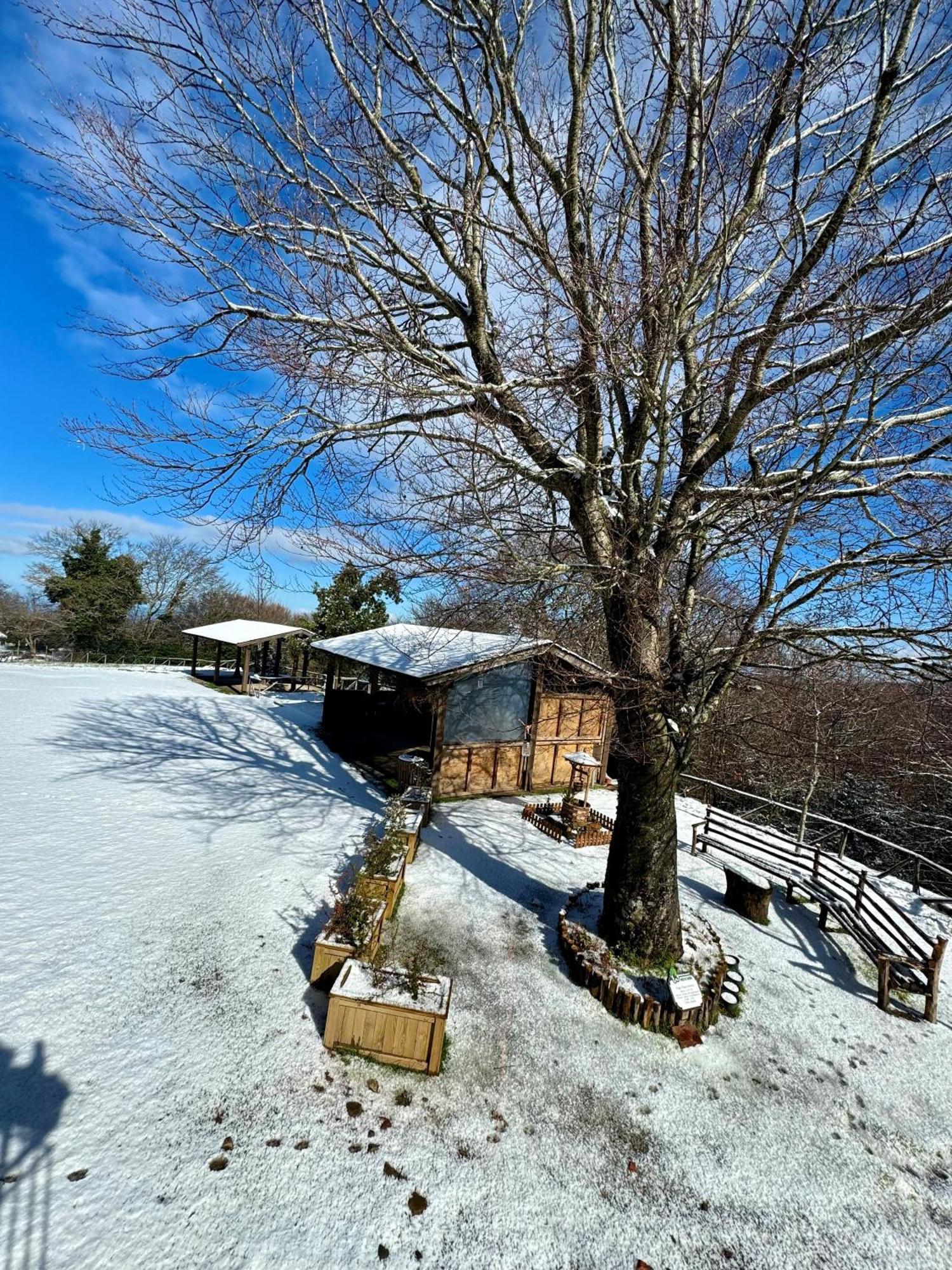 Nebris - Rifugio Del Parco Hotel San Fratello Eksteriør billede
