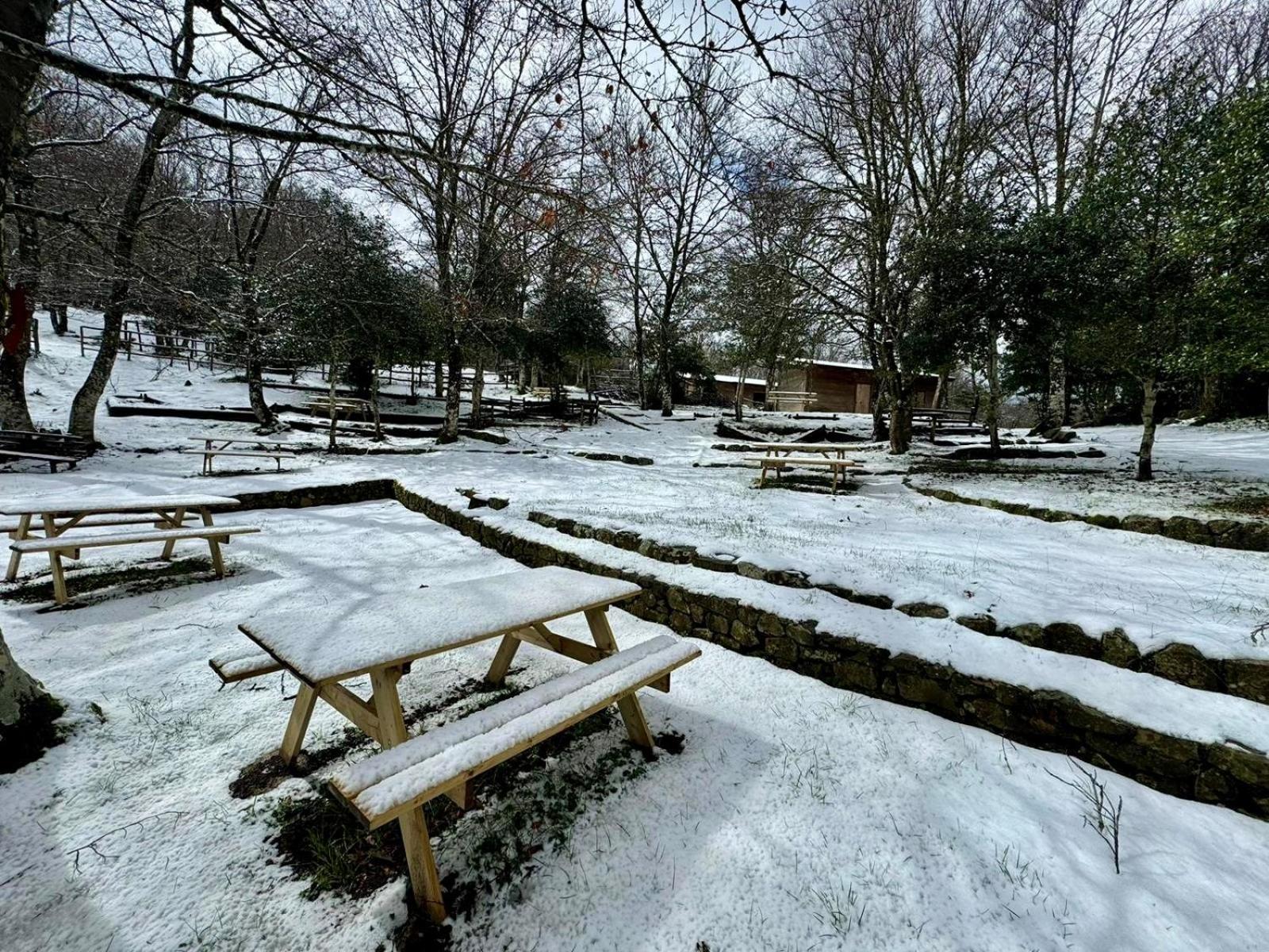 Nebris - Rifugio Del Parco Hotel San Fratello Eksteriør billede