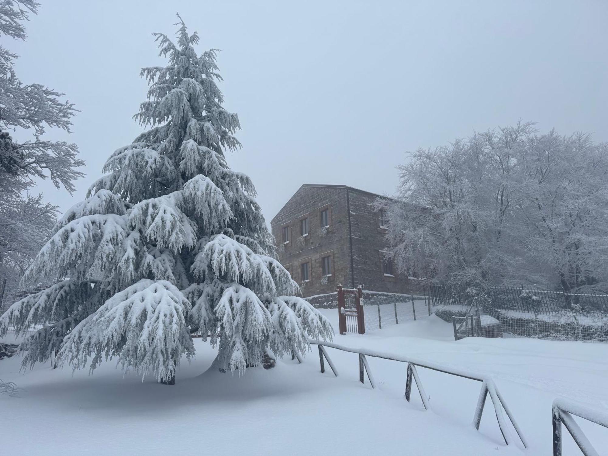 Nebris - Rifugio Del Parco Hotel San Fratello Eksteriør billede